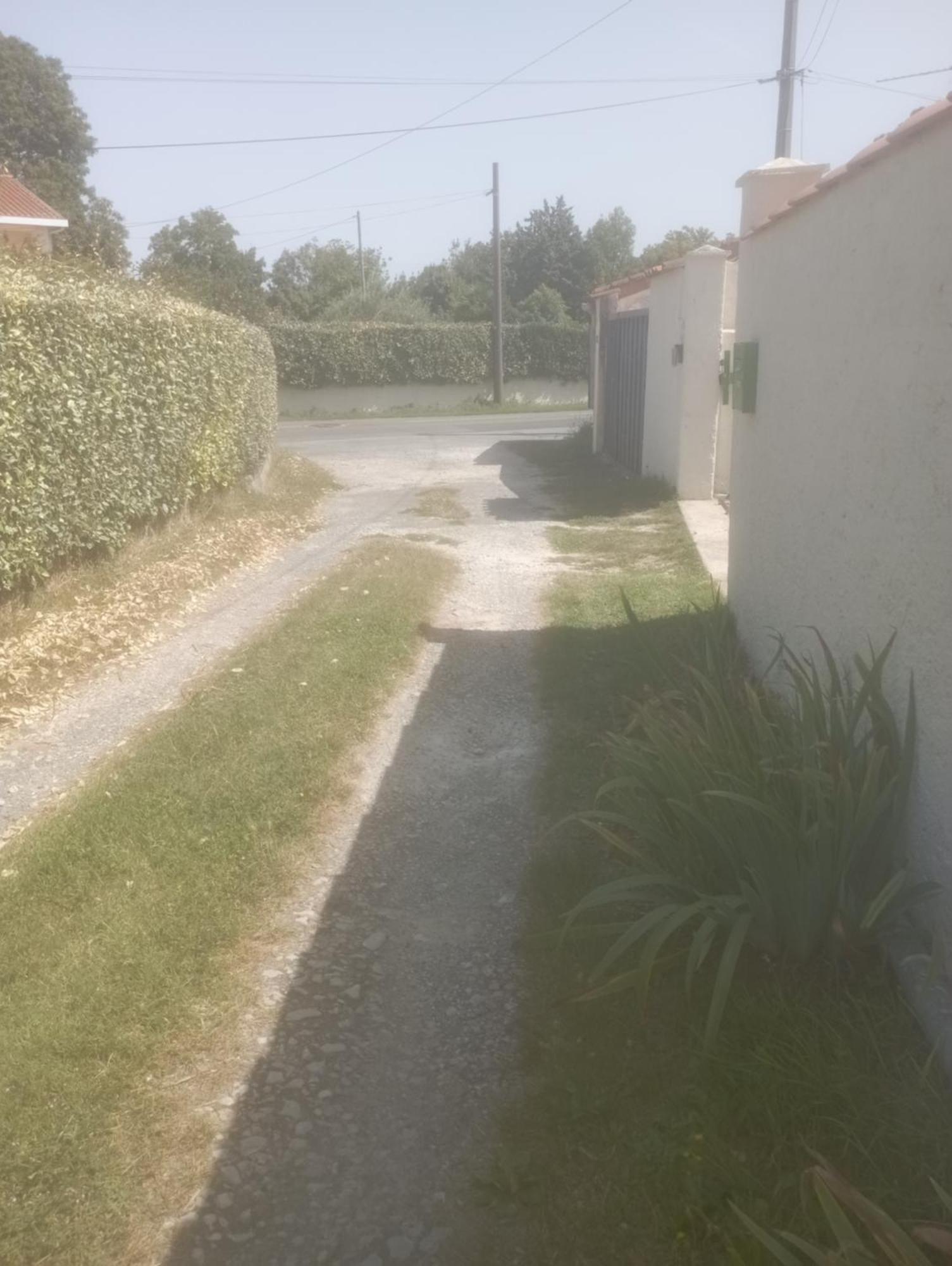 Chre Cathy Et Jean Loup Le Port-des-Barques Exterior foto